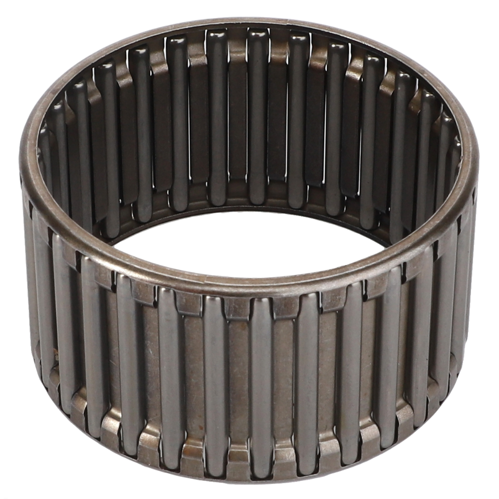 Игольчатая клетка