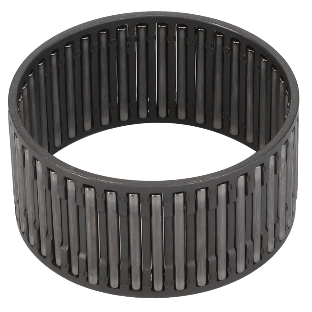 Игольчатая клетка