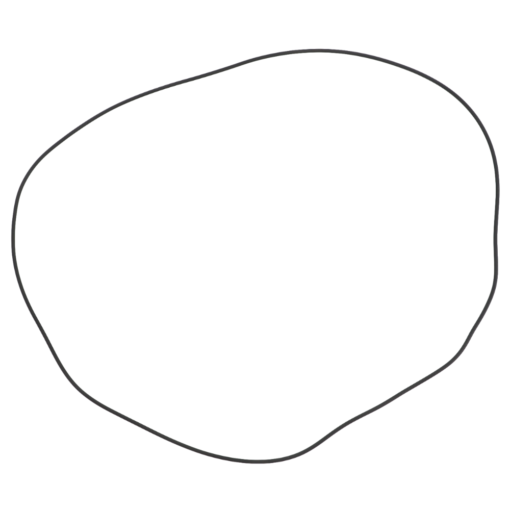 Уплотнительное кольцо