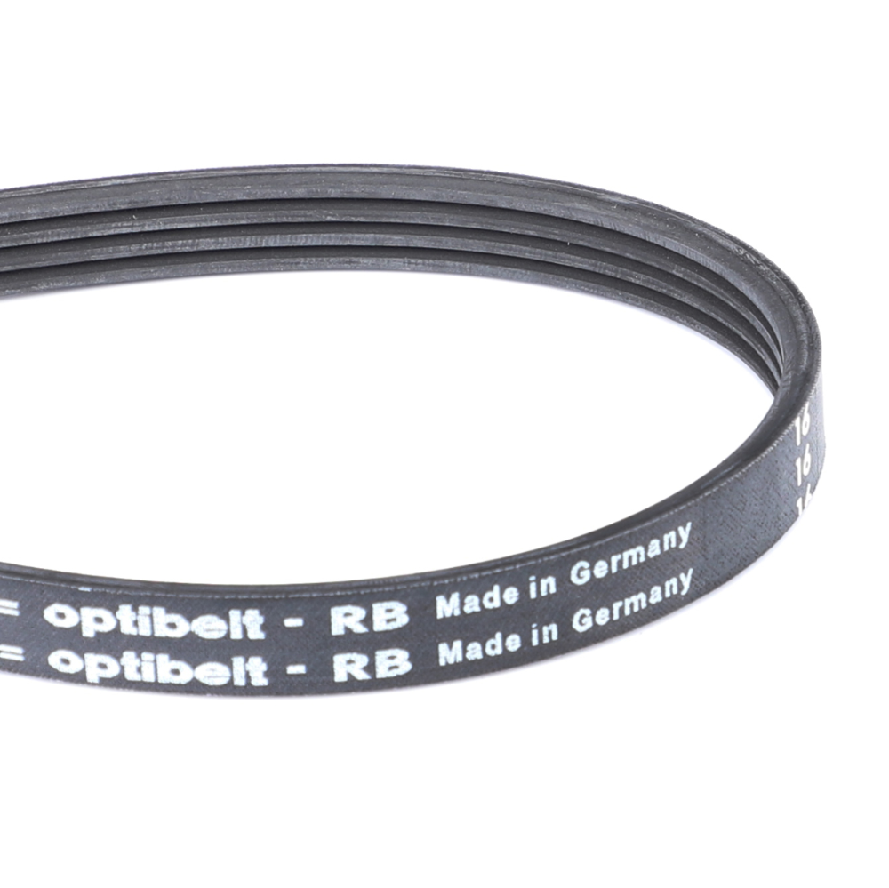 Змеиный пояс