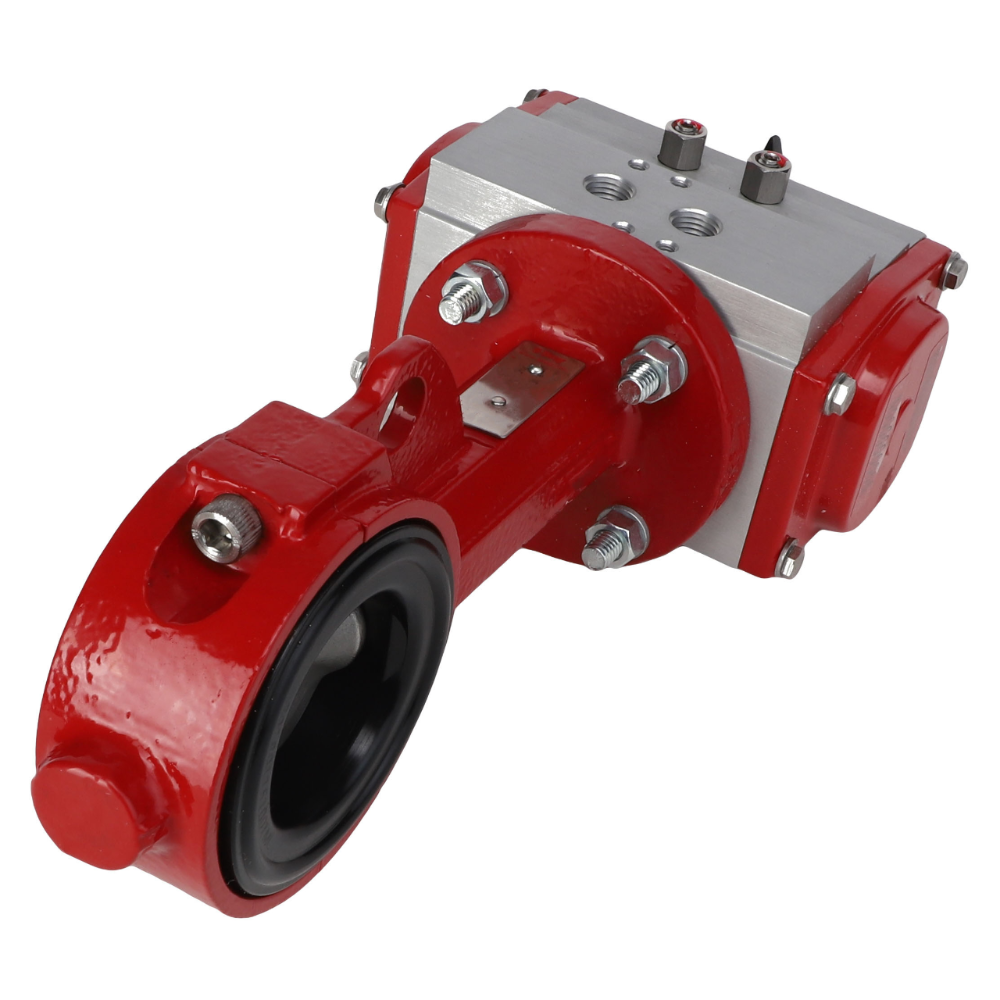 КЛАПАН-БАБОЧКА