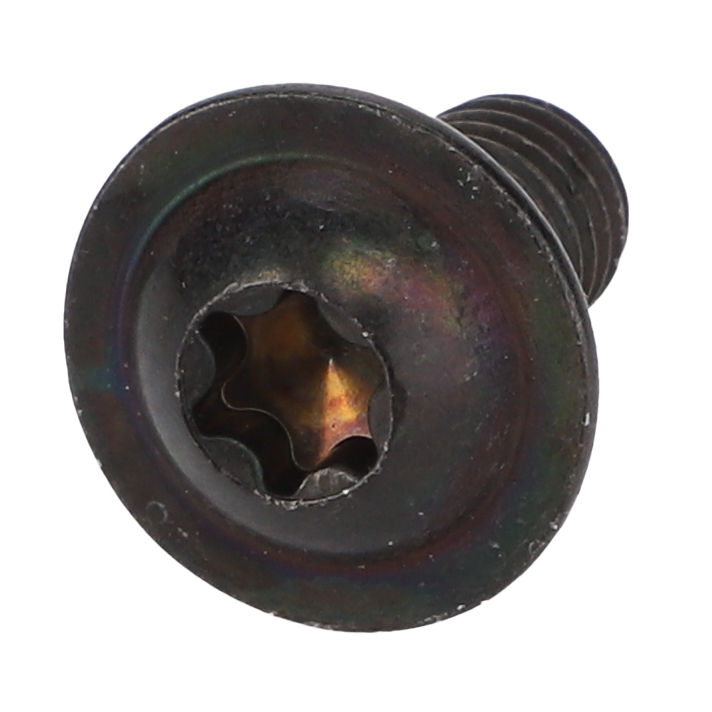 Винт с полукруглой головкой